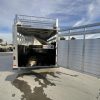 NEW 2024 Elite Trailers 5 Horse Stock Combo BP Horse Trailer