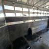 NEW 2024 Elite Trailers 5 Horse Stock Combo BP Horse Trailer
