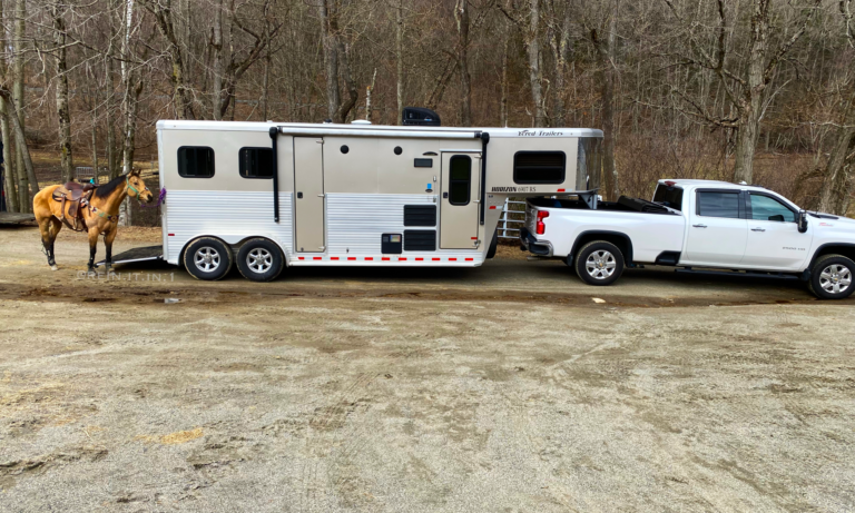 Living Quarter Horse Trailers for Sale in New York