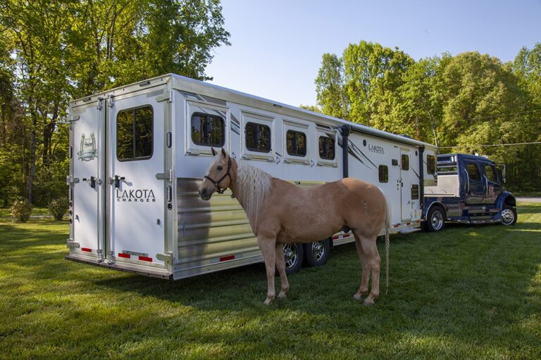 Living Quarter Horse Trailers for Sale in North Carolina