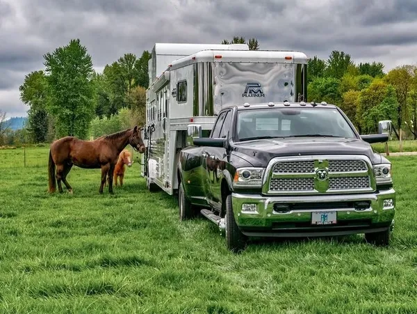 Living Quarter Horse Trailers for Sale in West Virginia 25 Living Quarter Horse Trailers for Sale in West Virginia